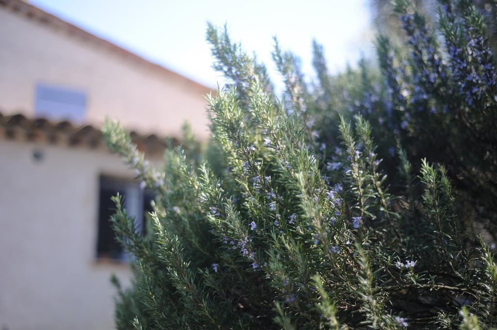 Maison Le Retour Le Rouret Esterno foto